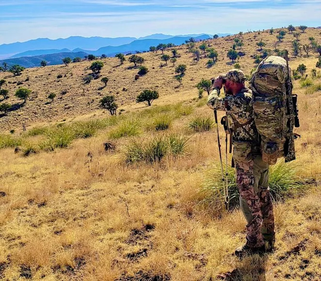 A hunter glasses for Coues deer in New Mexico.