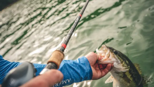 angler holding rod and largemouth bass