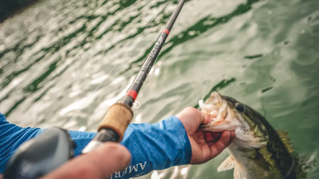 angler holding rod and largemouth bass