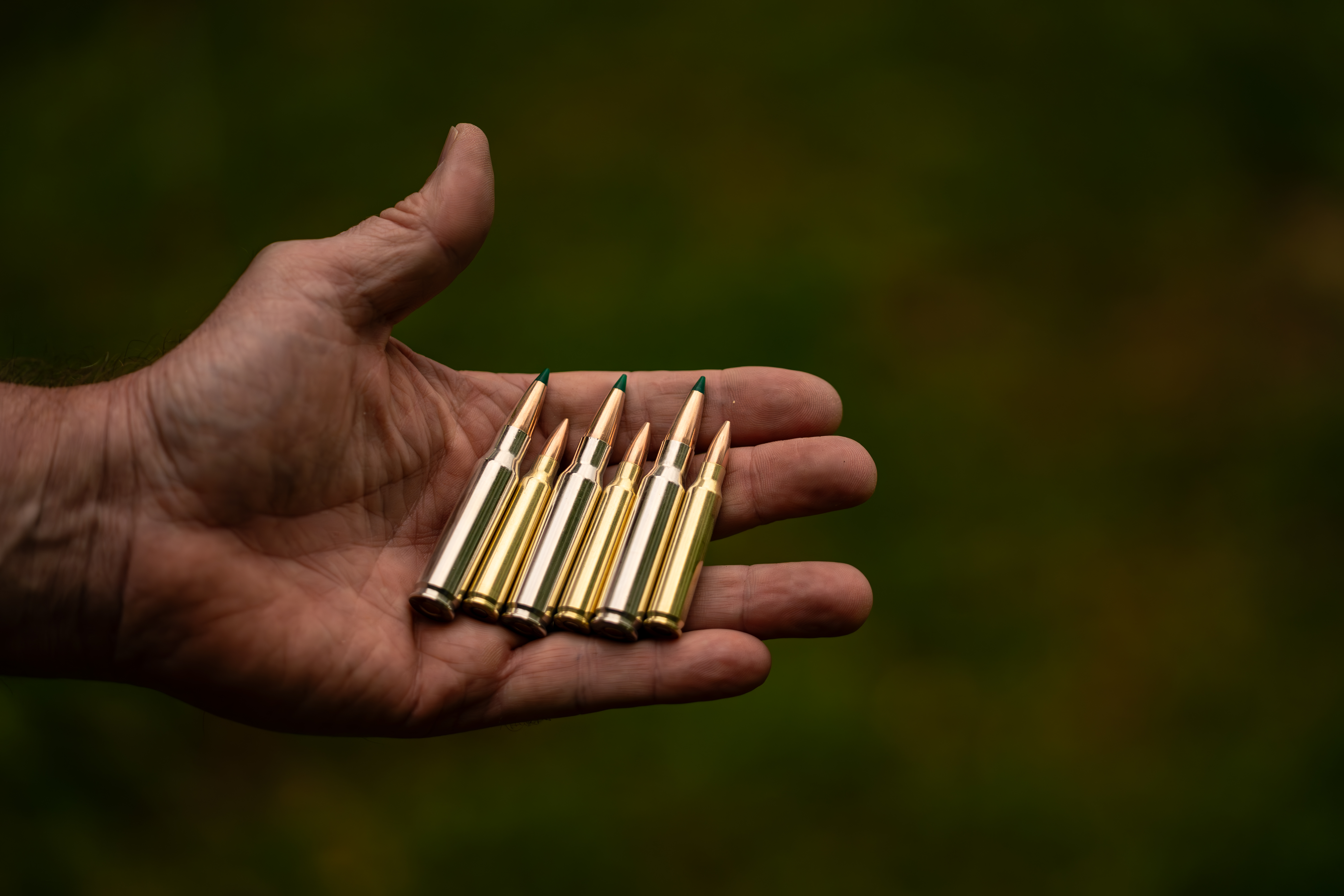 Bullets in hand