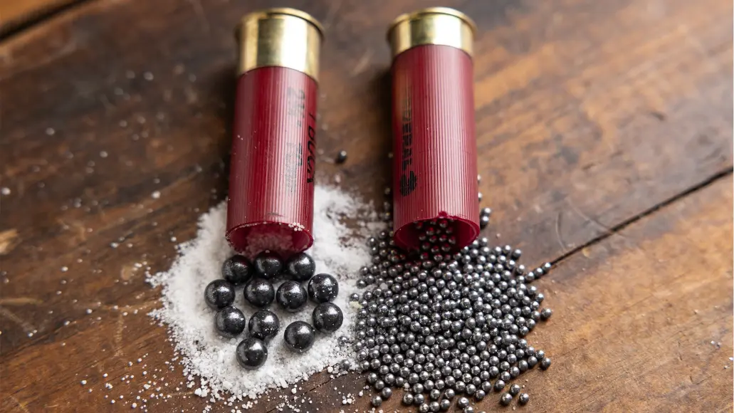 photo of two shotgun shells showing buckshot vs birdshot