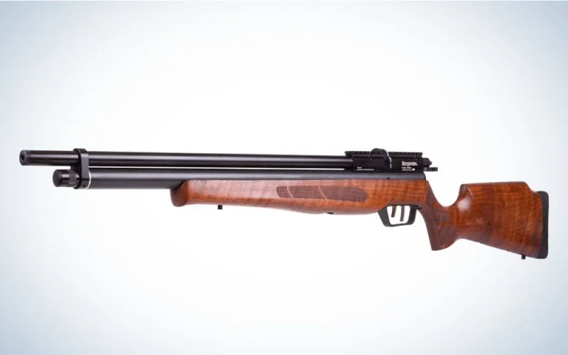 Best Air Rifles