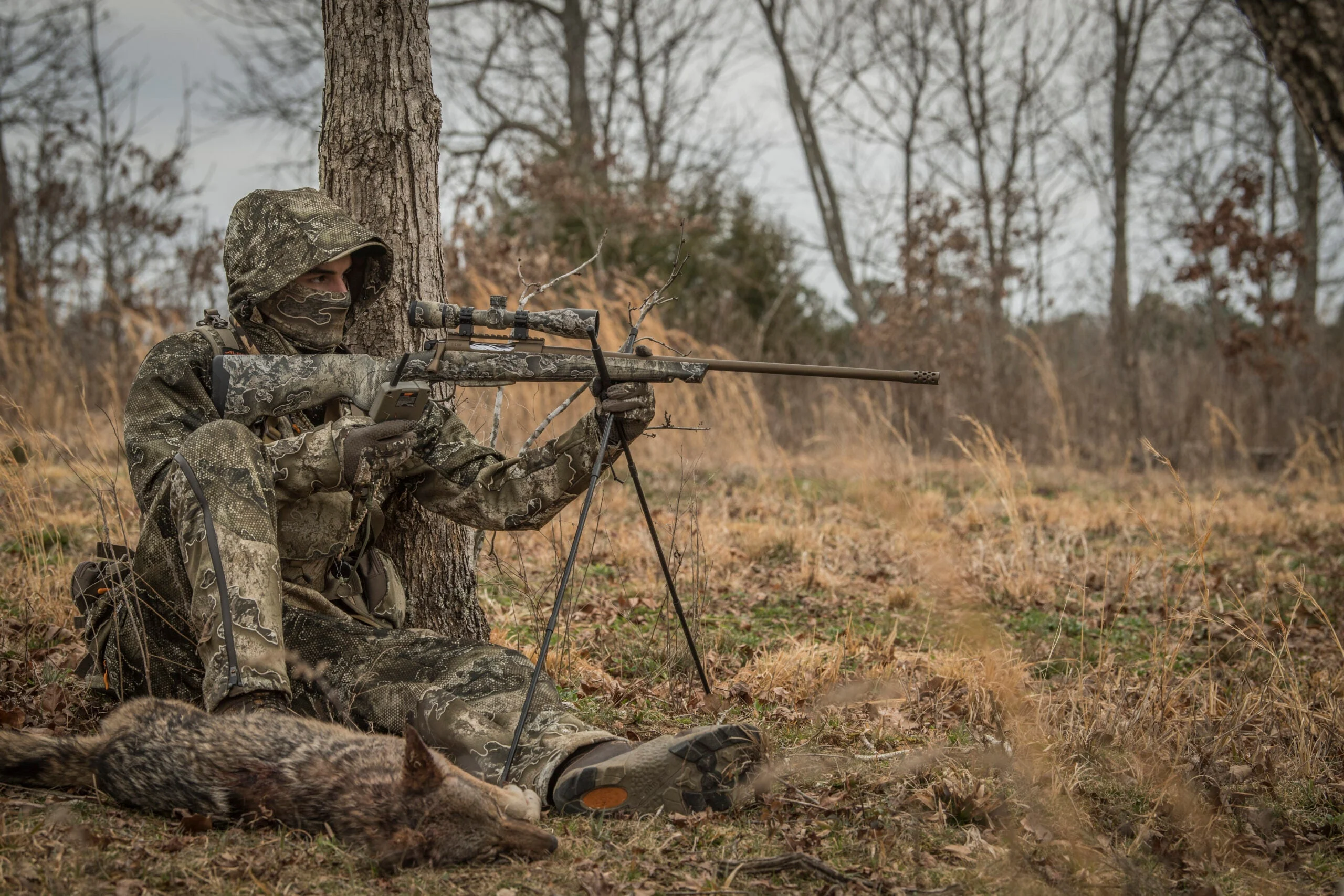 photo of setting up with a rifle on shooting sticks and electronic caller