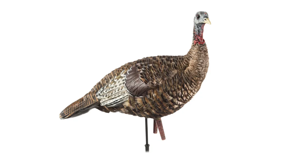 Avian-X LCD Lookout Hen Turkey Decoy on white background