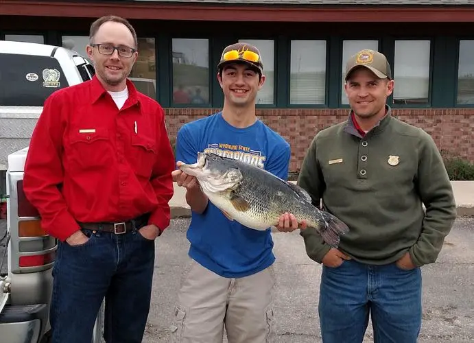 An angler poses with the Wyoming record largemouth bass. 