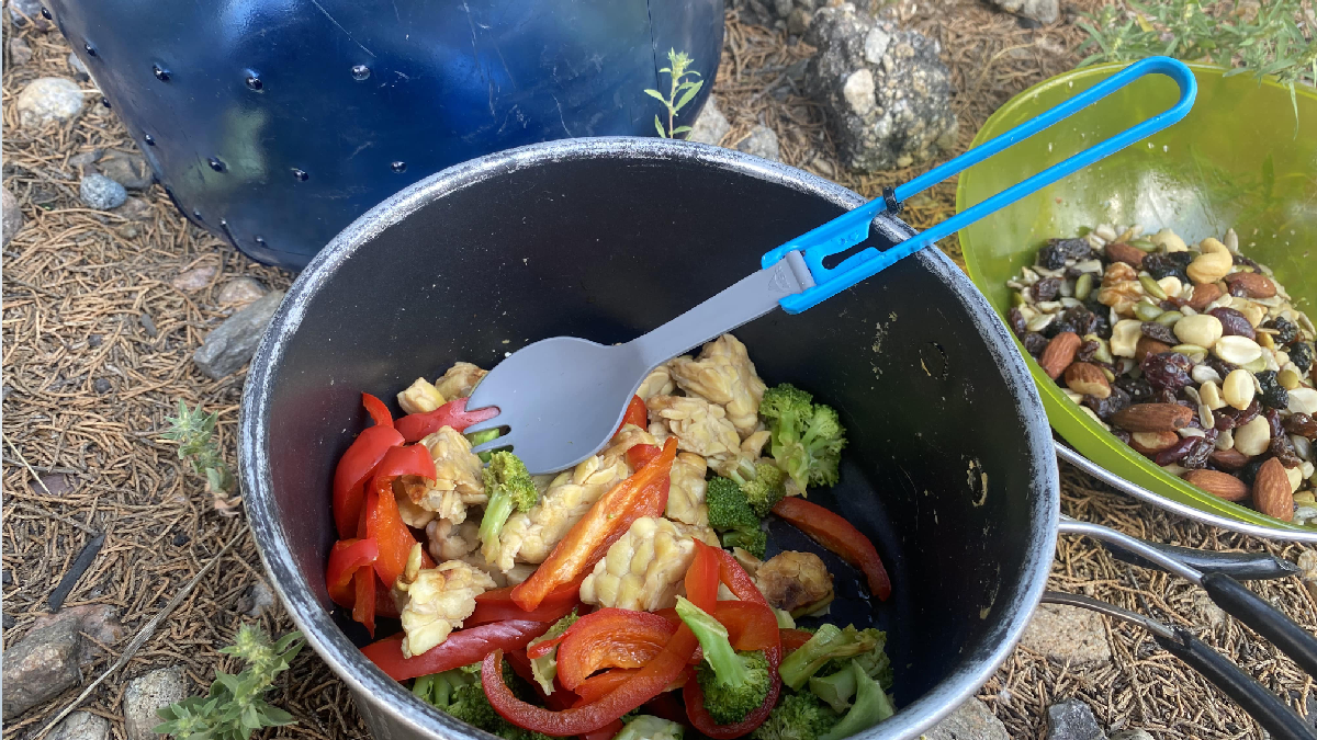 MSR Folding Camping Spork