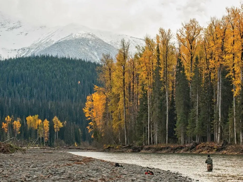 An angler wading into a river and fishing in a trout stream.