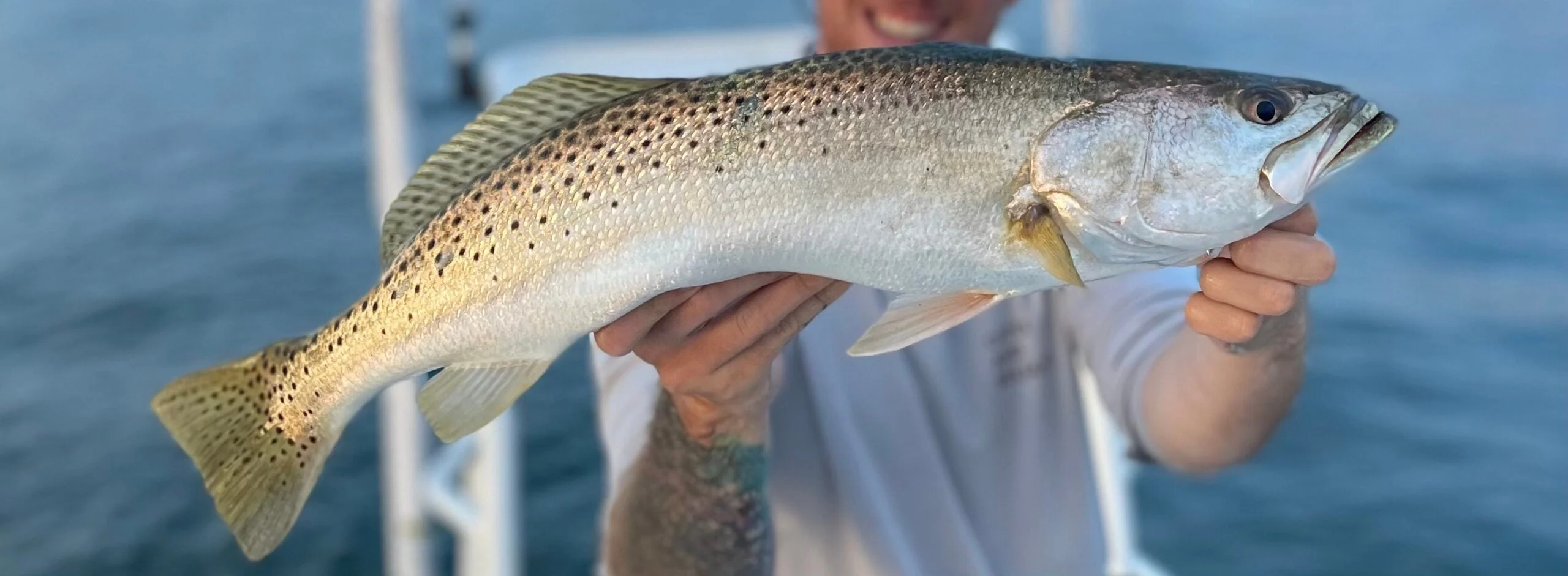 speckled sea trout