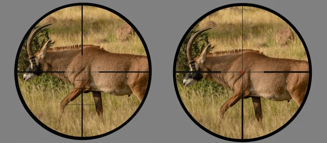 African roan seen through two different types of riflescope reticles. 