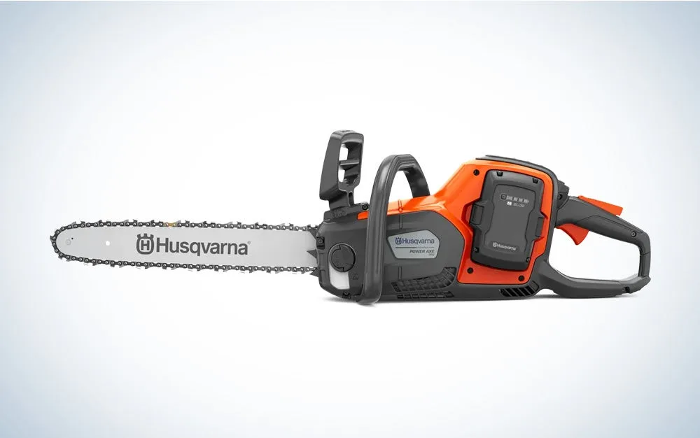 Best Electric Chainsaws