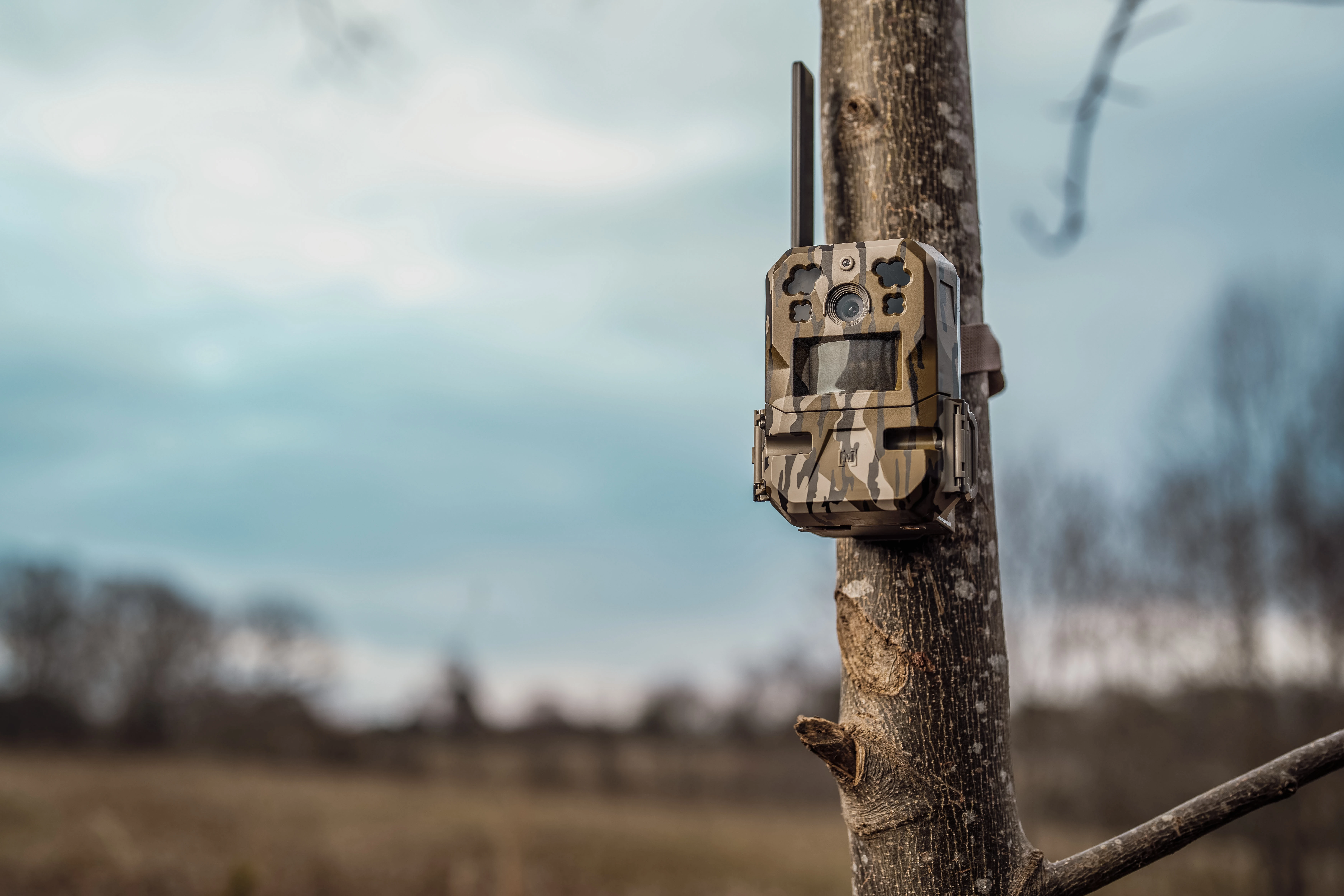 A Moultrie trail cam mounted on a trail at the edge of a field.