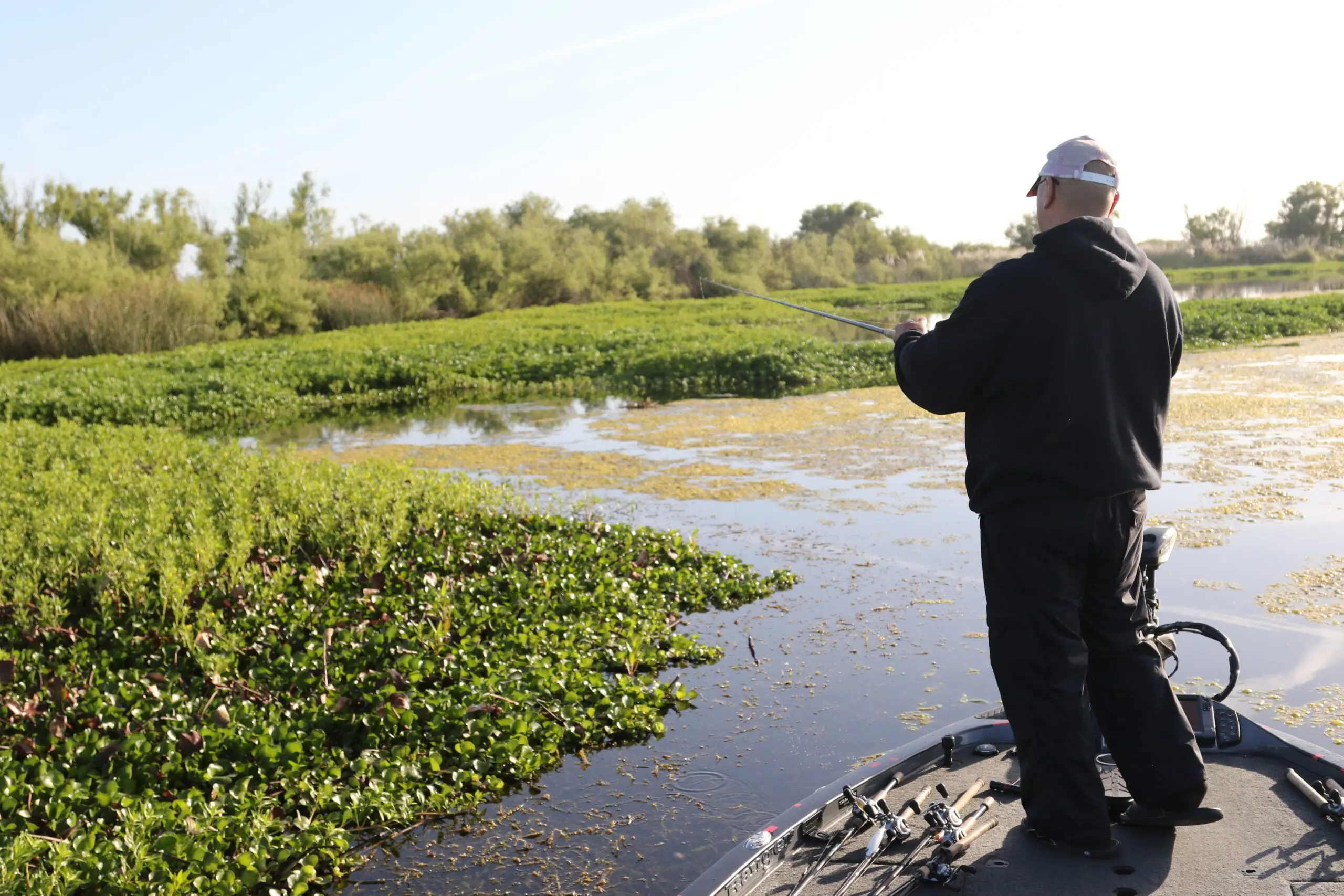 A bass anglers works the heavy vegetation at the edge of a lake.