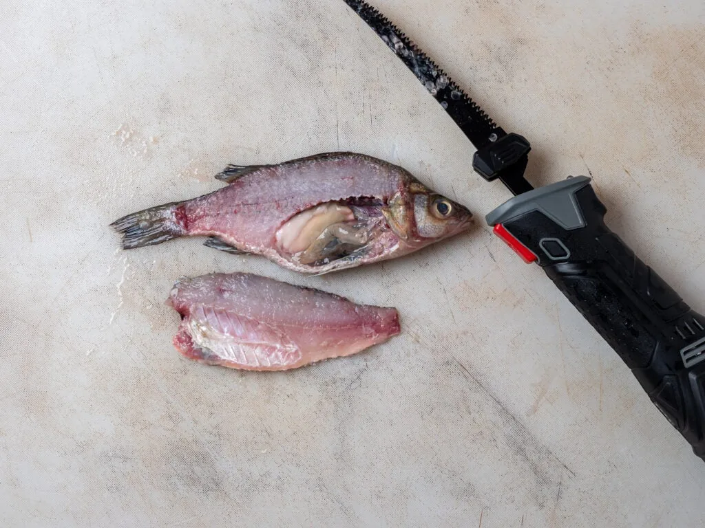 The Rapala R12 Heavy-Duty Lithium Fillet Knife next to a opened bluegill