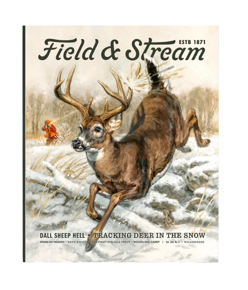 Field & Stream Fall Journal