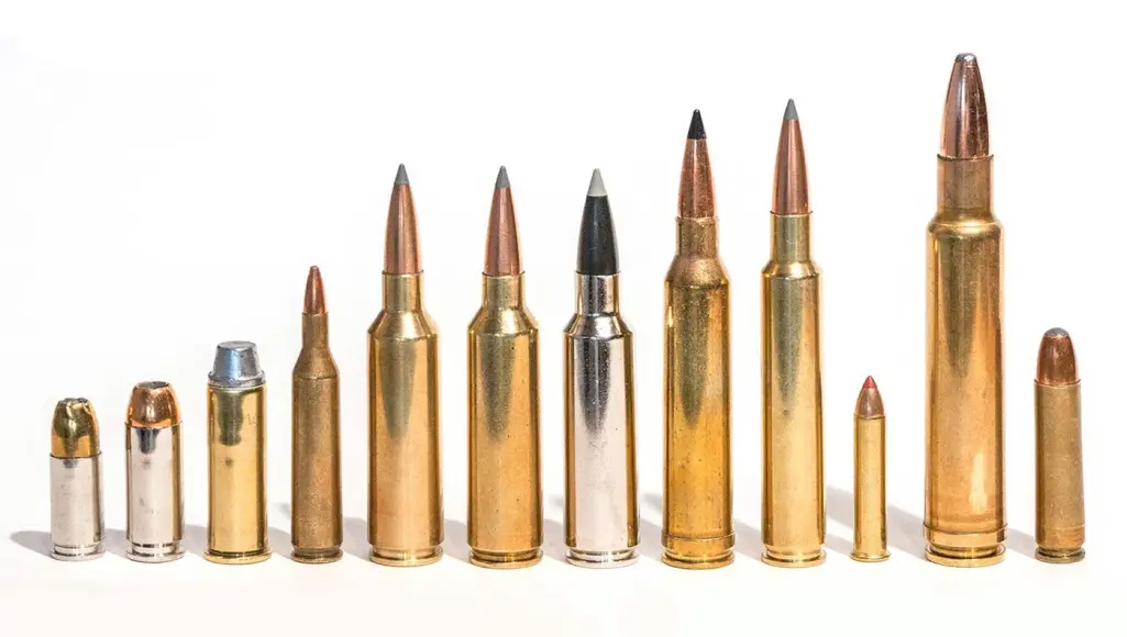 photo of centerfire cartridges