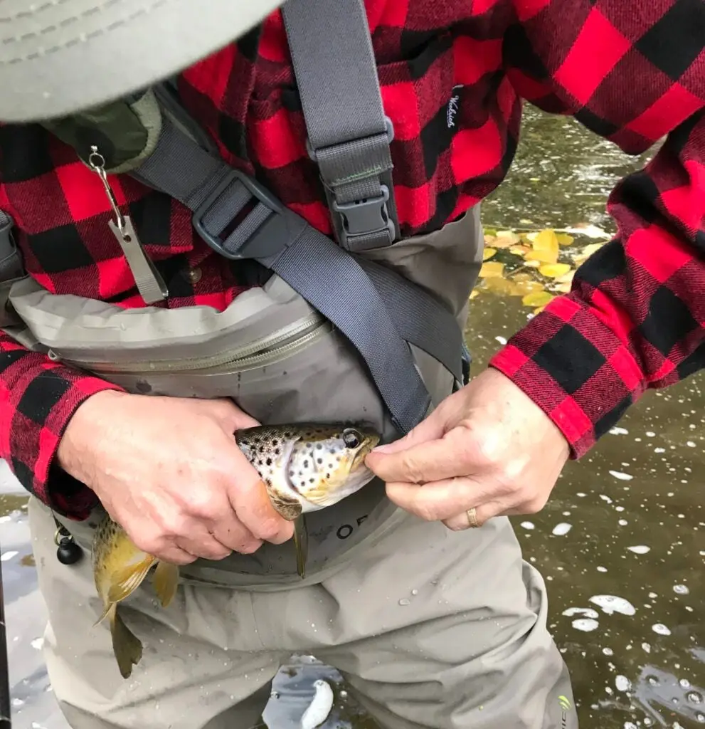 Angler taking a hook out of a fish's mouth