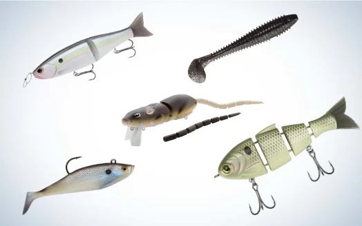 Collage of the best swimbaits for catching largemout bass