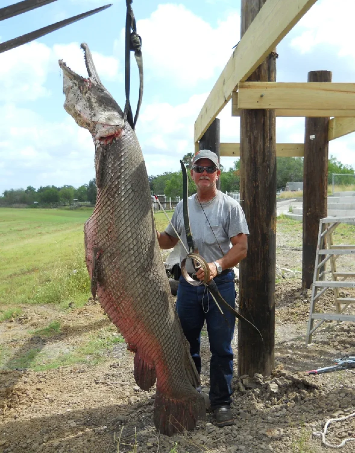 photo of alligator gar