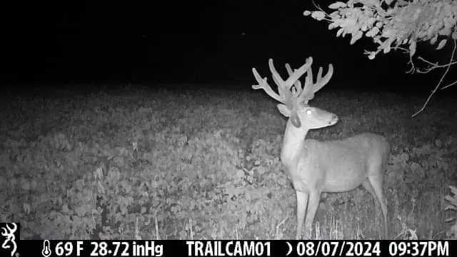 An Iowa hunter poses with a trophy whitetail. 