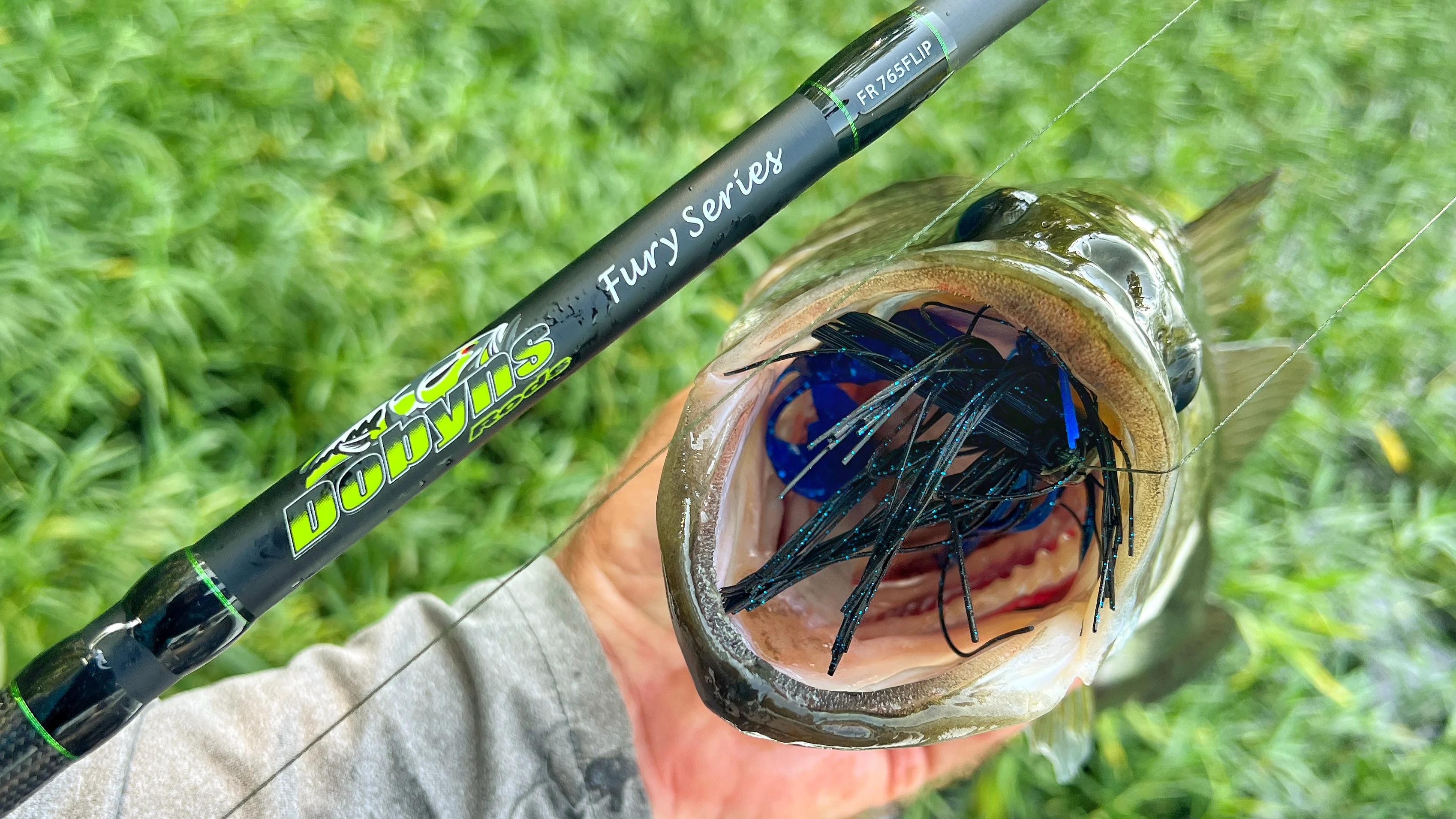 Fisherman's hand holding a bass with a jig in the fish's mouth