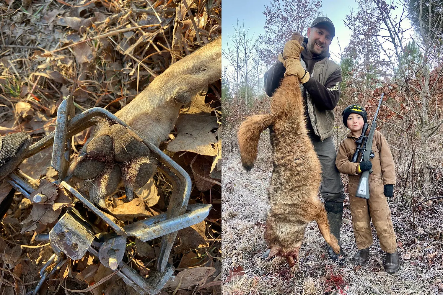 coyote paw in trap, hunters with coyote