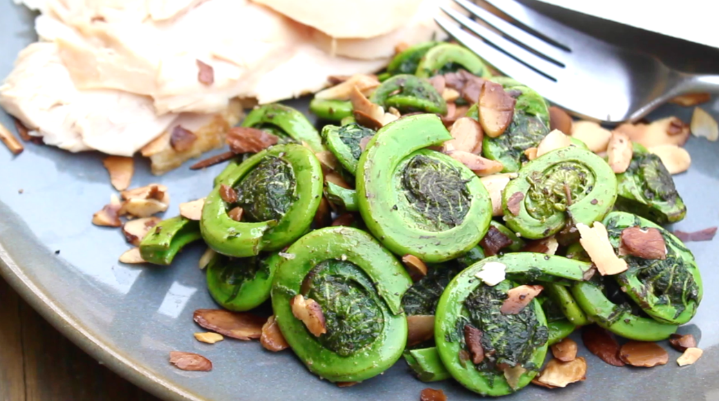 fiddlehead-ferns