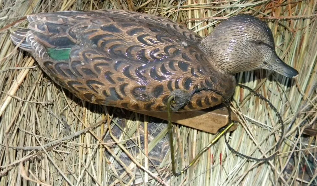 Duck decoy modified with a coat hanger.