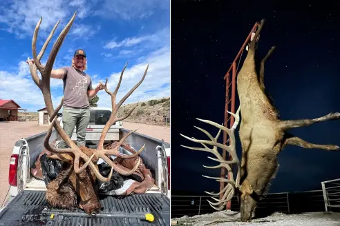 nm-elk