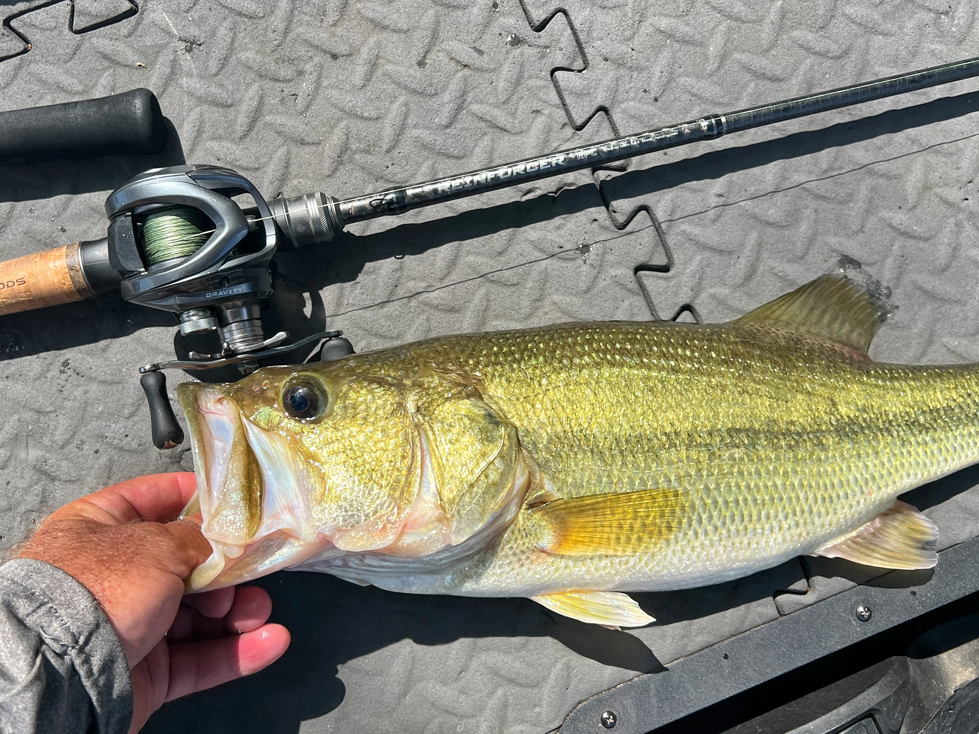 Ark Reinforcer rod next to angler's hand holding a largemouth bass