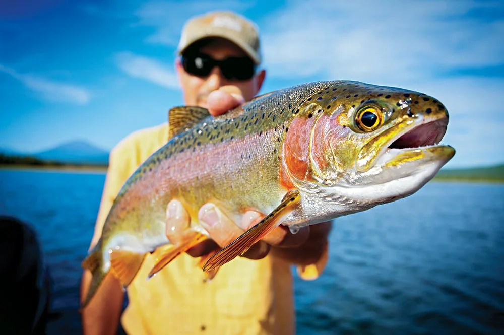 crane prairie reservoir rainbow trout