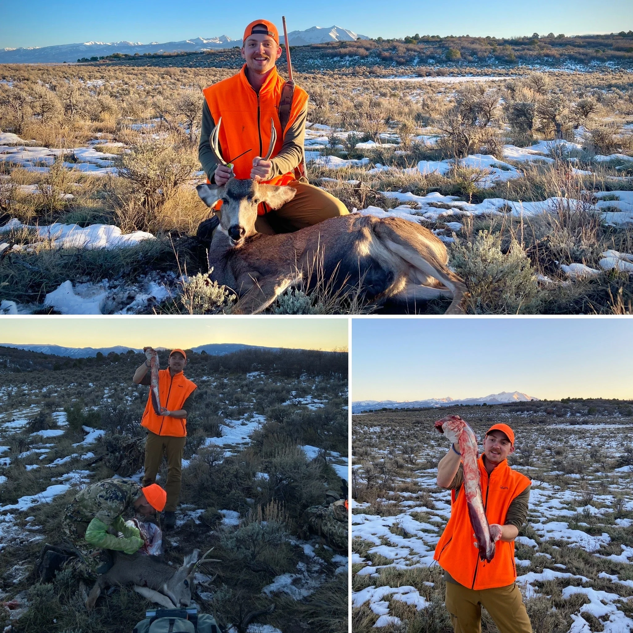 hunter with mule deer