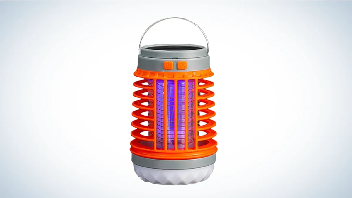 Best Bug Zappers: ZapTek Bug Zapper