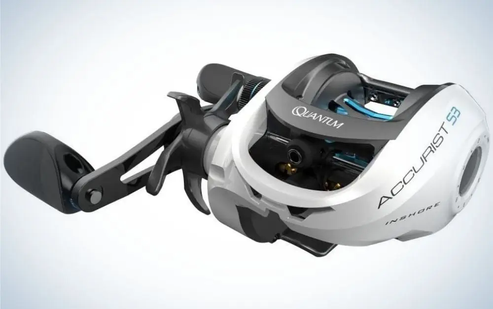 Quantum Accurist Inshore is the best fishing reel for saltwater.