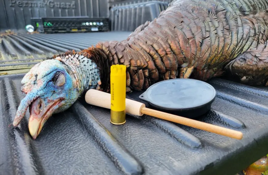 Turkey slate call sitting on bed of truck next to turkey