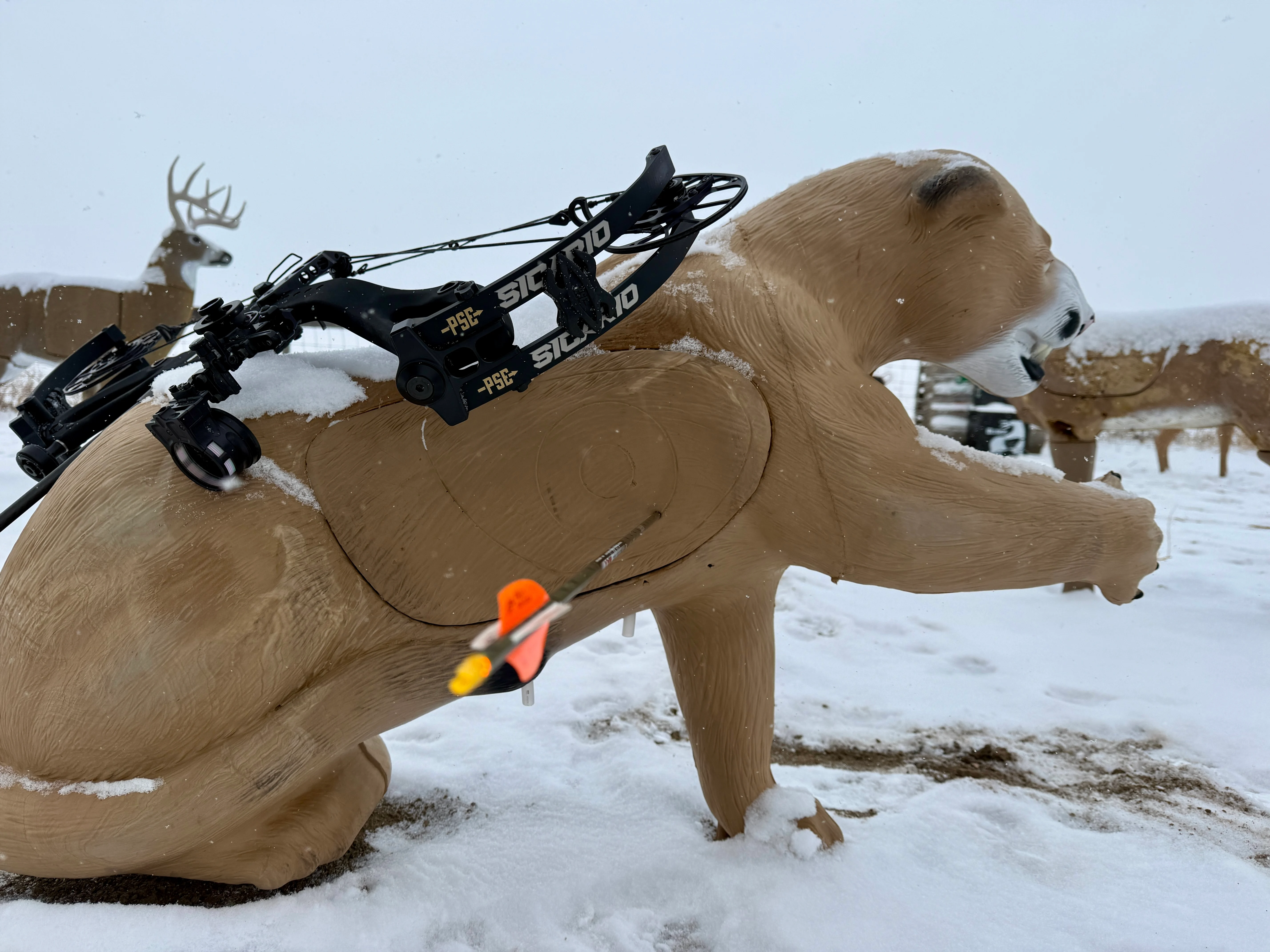 The new PSE Sicario bow resting on a 3D cougar target. 