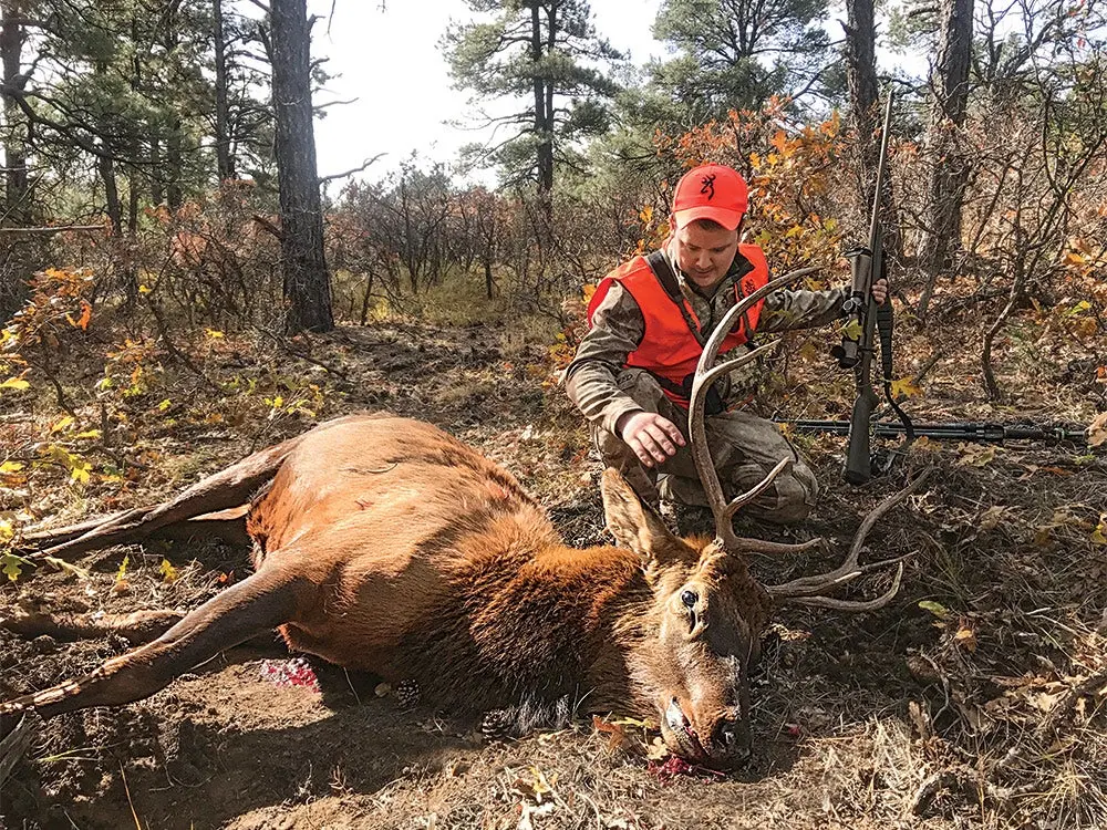 hunter kneeling next to elk in a forest