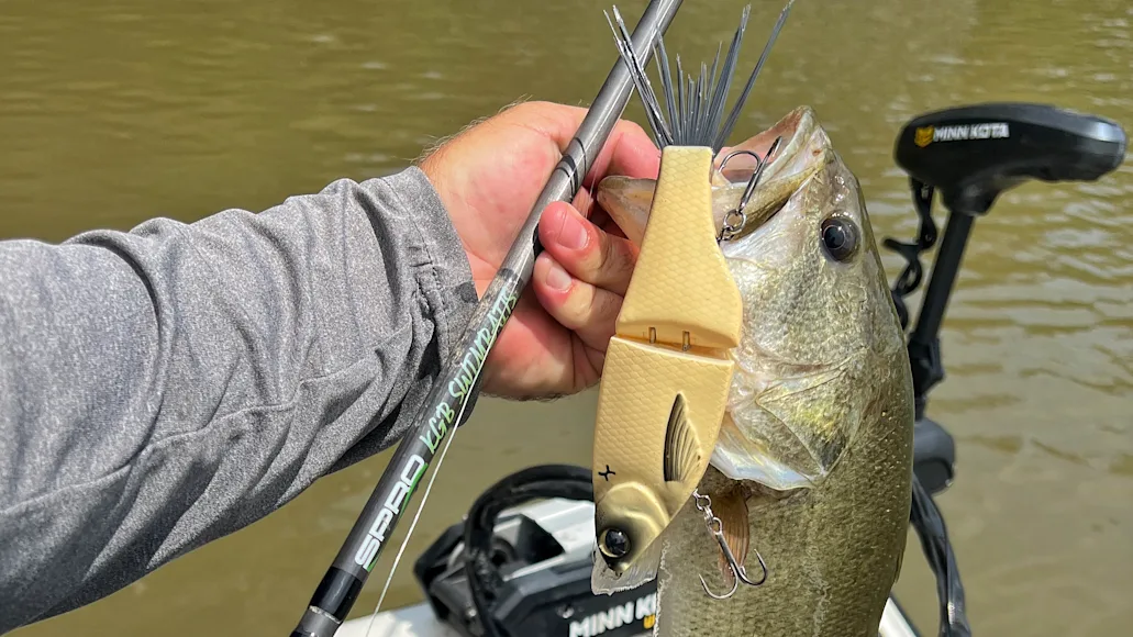 Angler holds up a bass with a glidebait hooked in the mouth