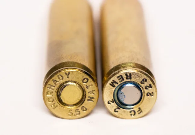 A 556 cartridge on the right and 223 cartridge on the left, against a white background.