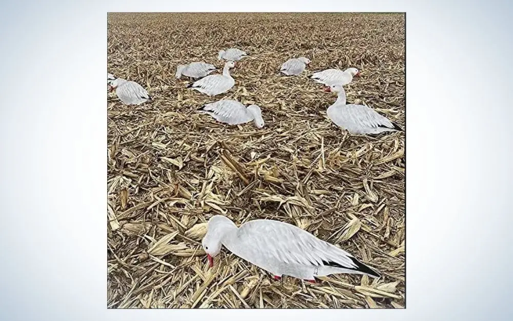 Dive Bomb V2 Snow Goose Sihouette Decoys 