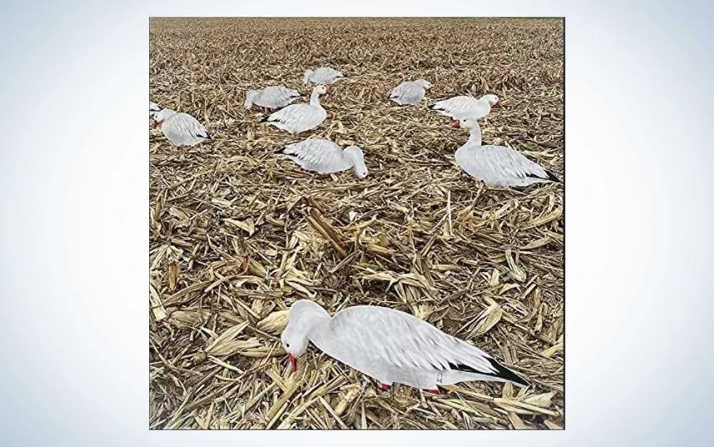 Dive Bomb V2 Snow Goose Sihouette Decoys 