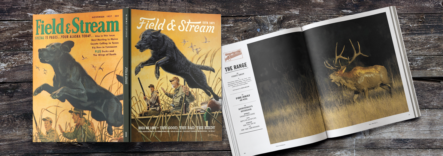 F25 Journal Article Hero Image