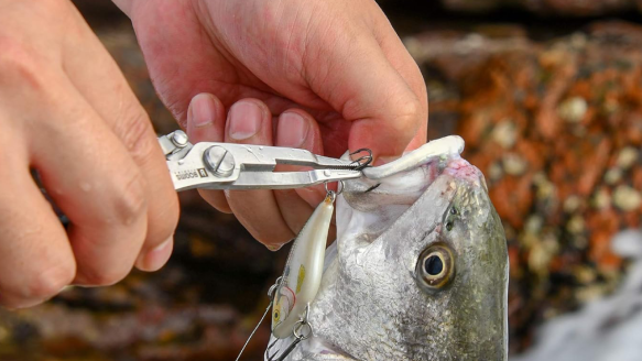 Angler using fishing pliers to cut line