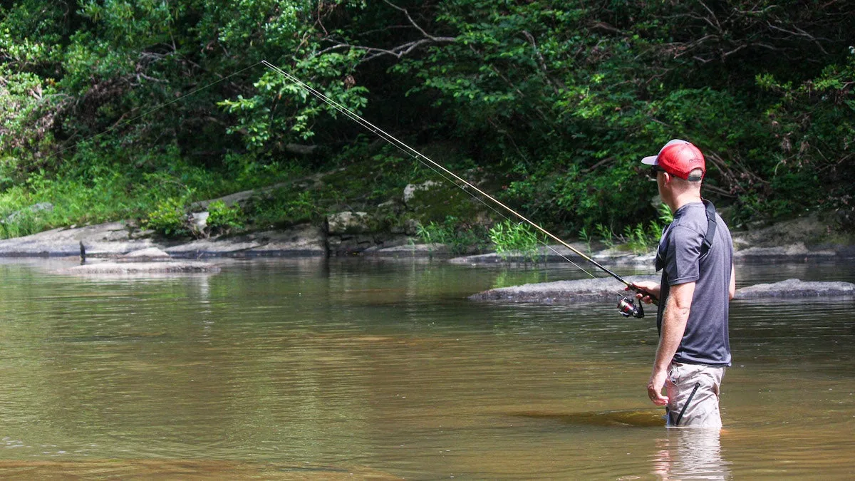 Small creeks are home to both smallmouth and largemouth bass.