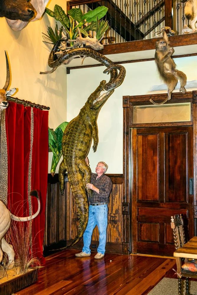 Man standing next to alligator taxidermy.