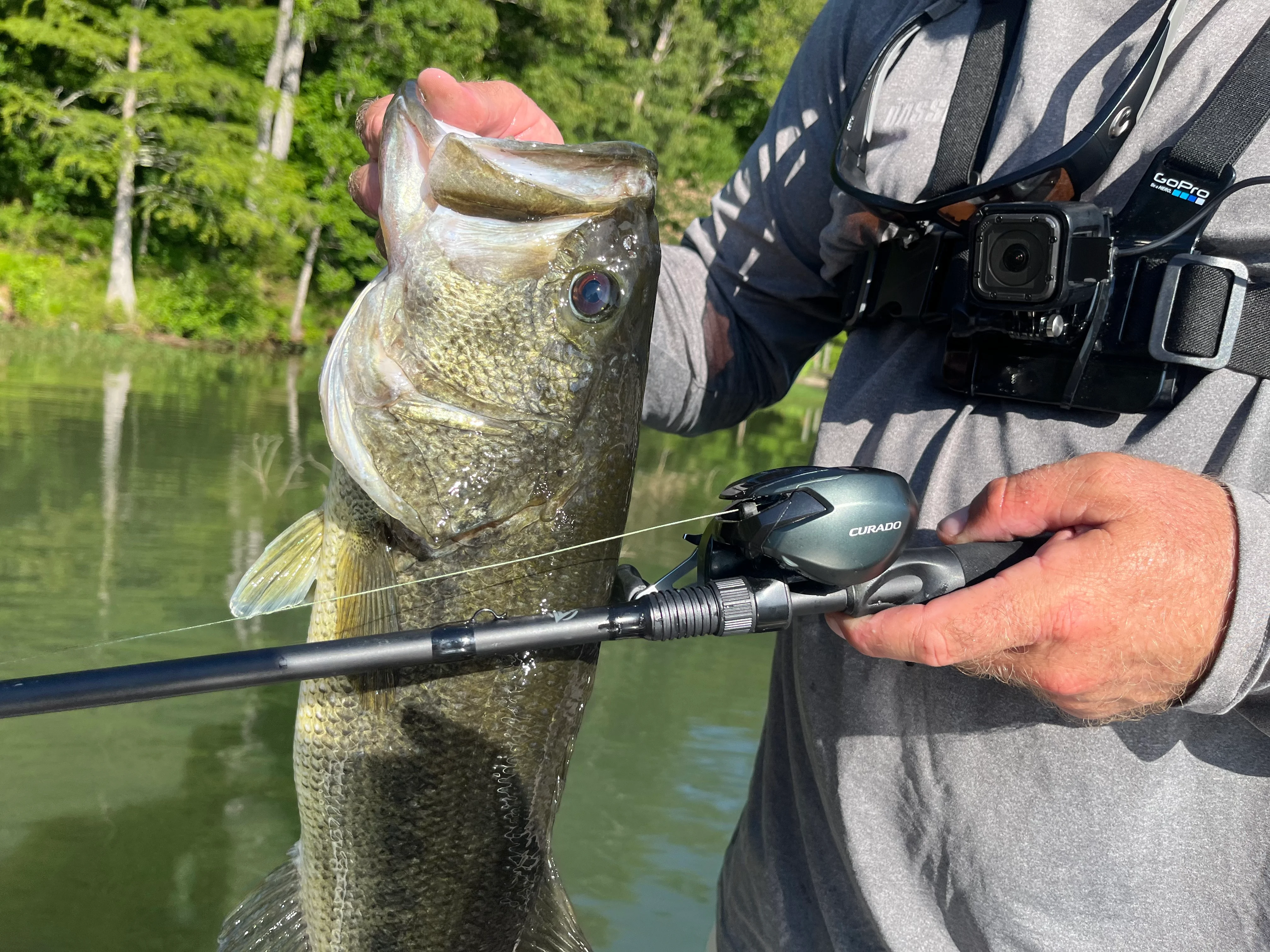 Shimano Curado 200 M