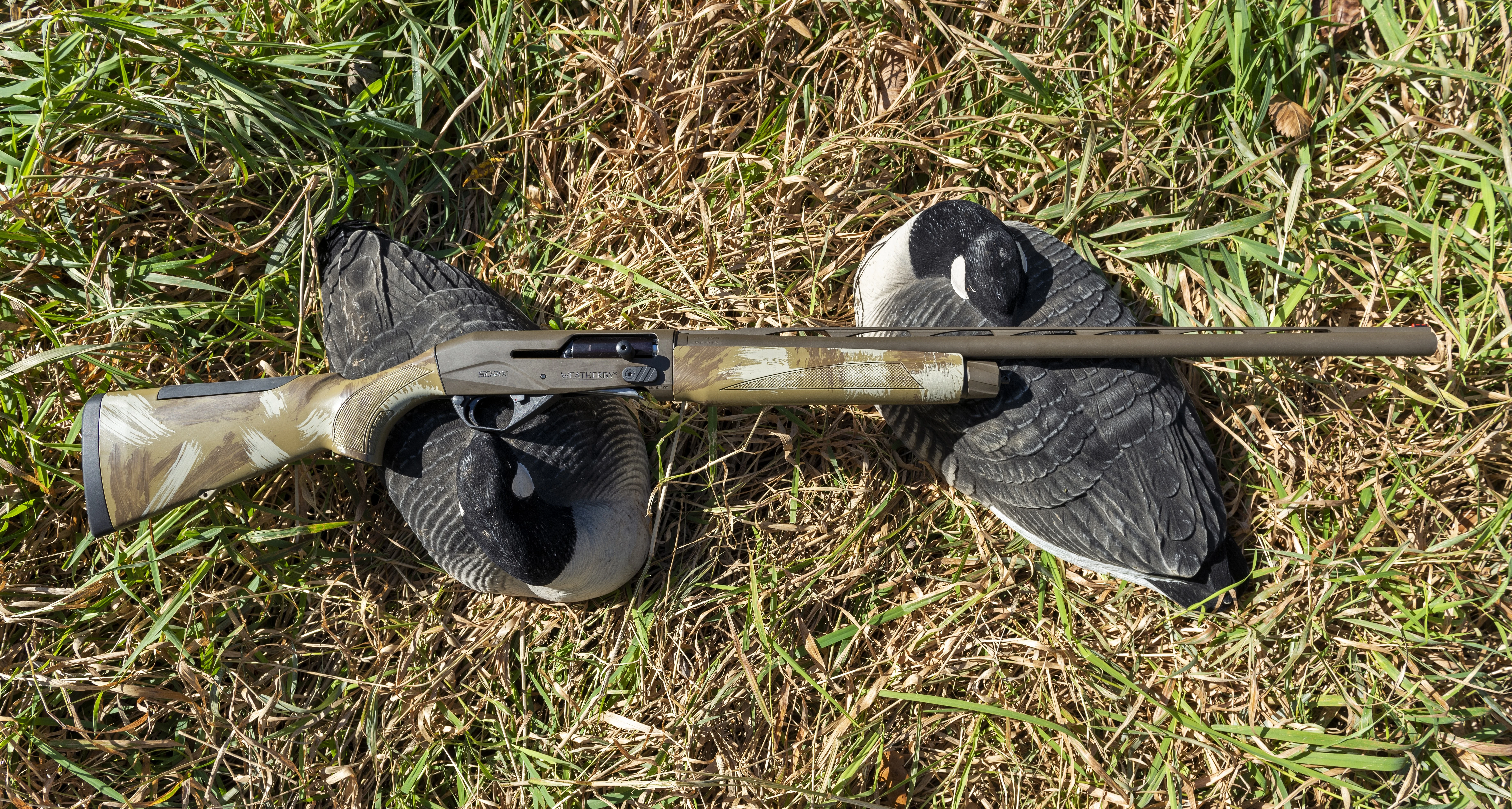 The new Weatherby Sorix shotgun resting on two Canada goose decoys. 