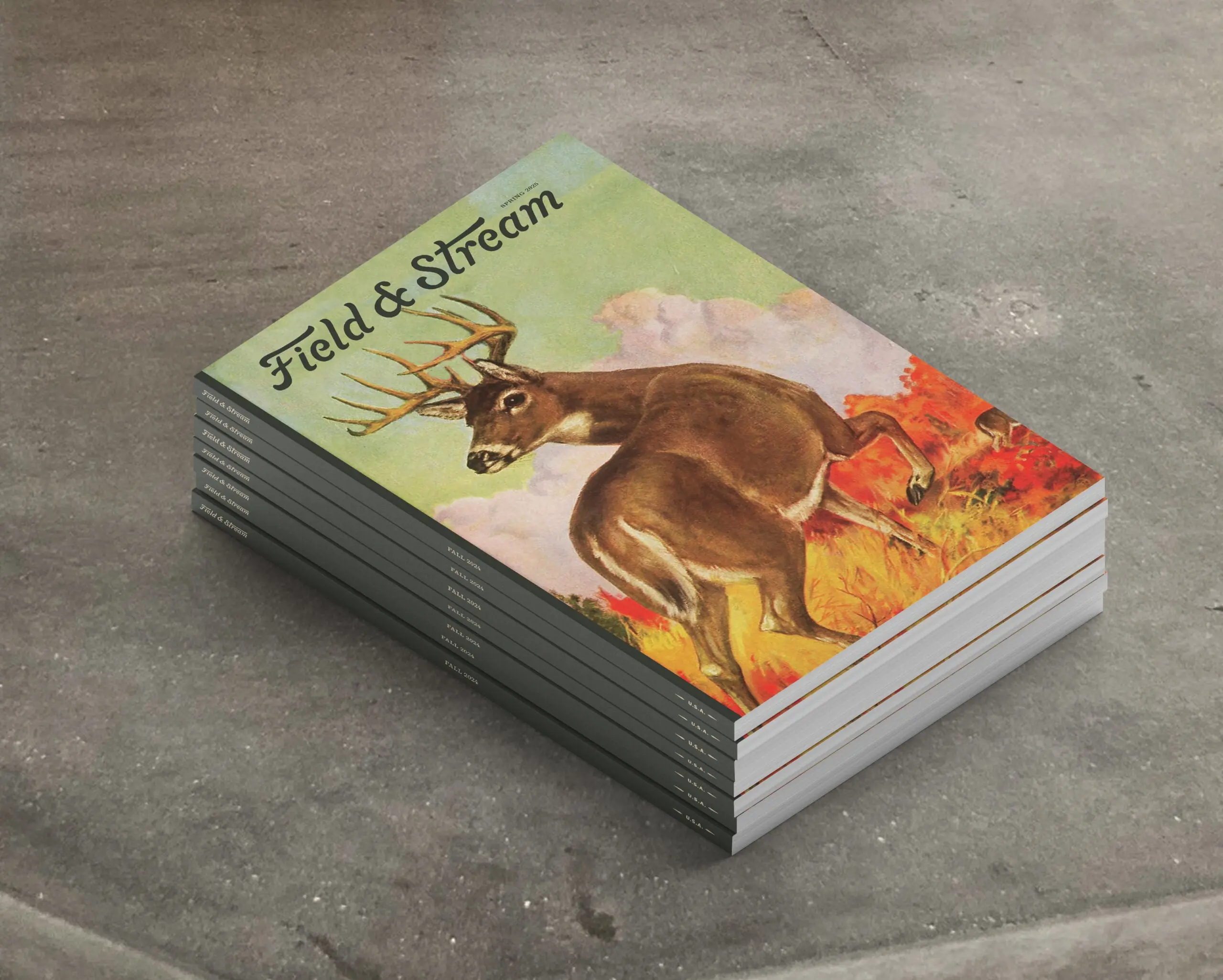 A stack of field & stream magazines sitting on a gray stone surface