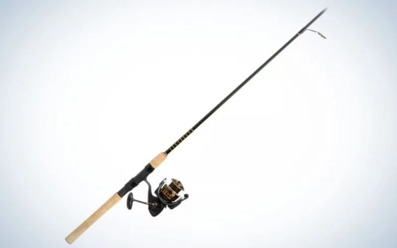 Daiwa BG Saltwater Combo 