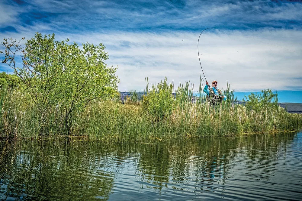 fly fisher on a river bank