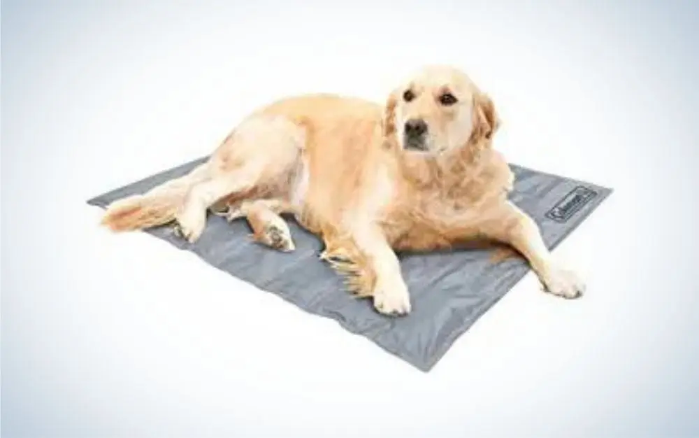 Coleman Cooling Mat